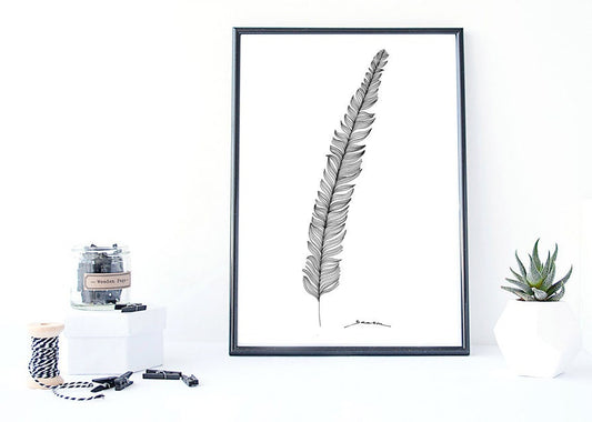Plumas - Art print