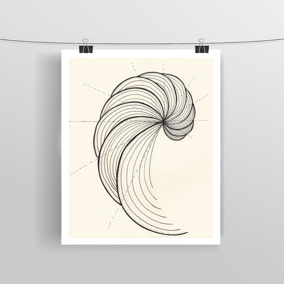 Fibonacci Spiral - Art print